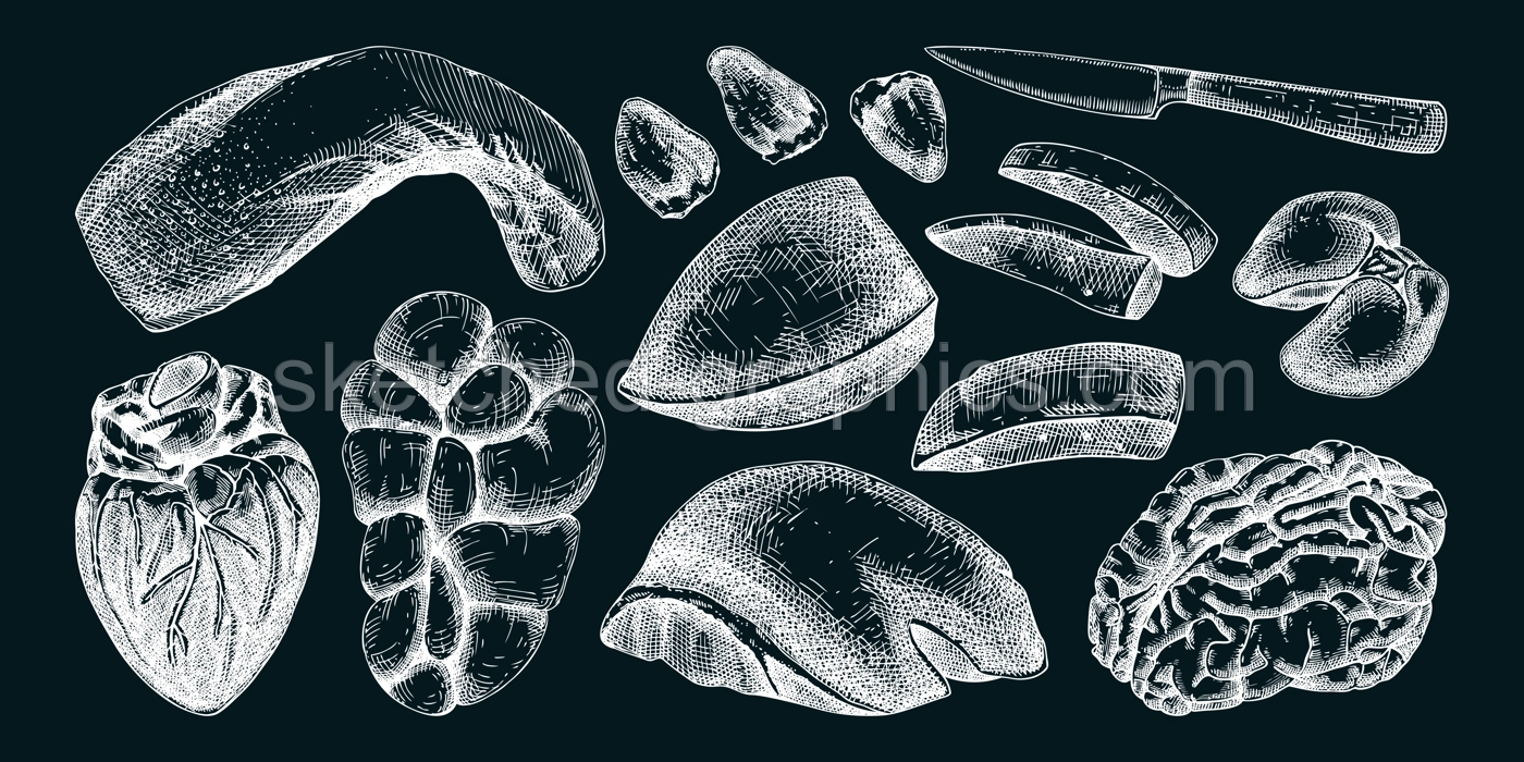 Hand drawn internal organs sketches set. Organ meat of farm animal drawings. Healthy food vector Illustrations on chalkboard. Liver, heart, kindle, tongue, offal - butchery design elements. Illustration